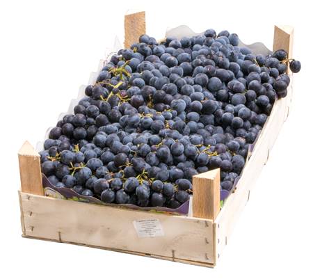 Виноград темный ,с косточ. Молдавия