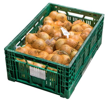 Лук репчатый