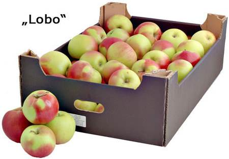 Яблоки Лобо