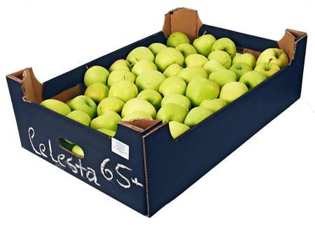 Яблоки Целеста