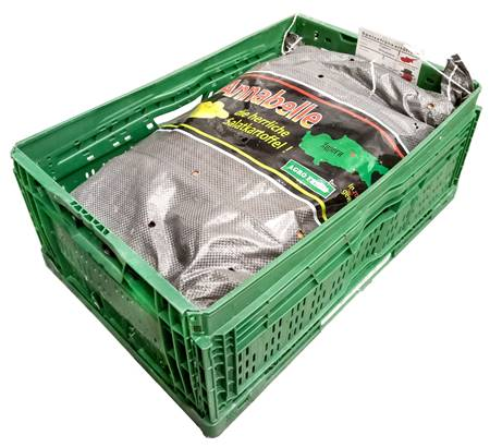 Картофель Анабэль