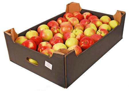 Яблоки Элиза